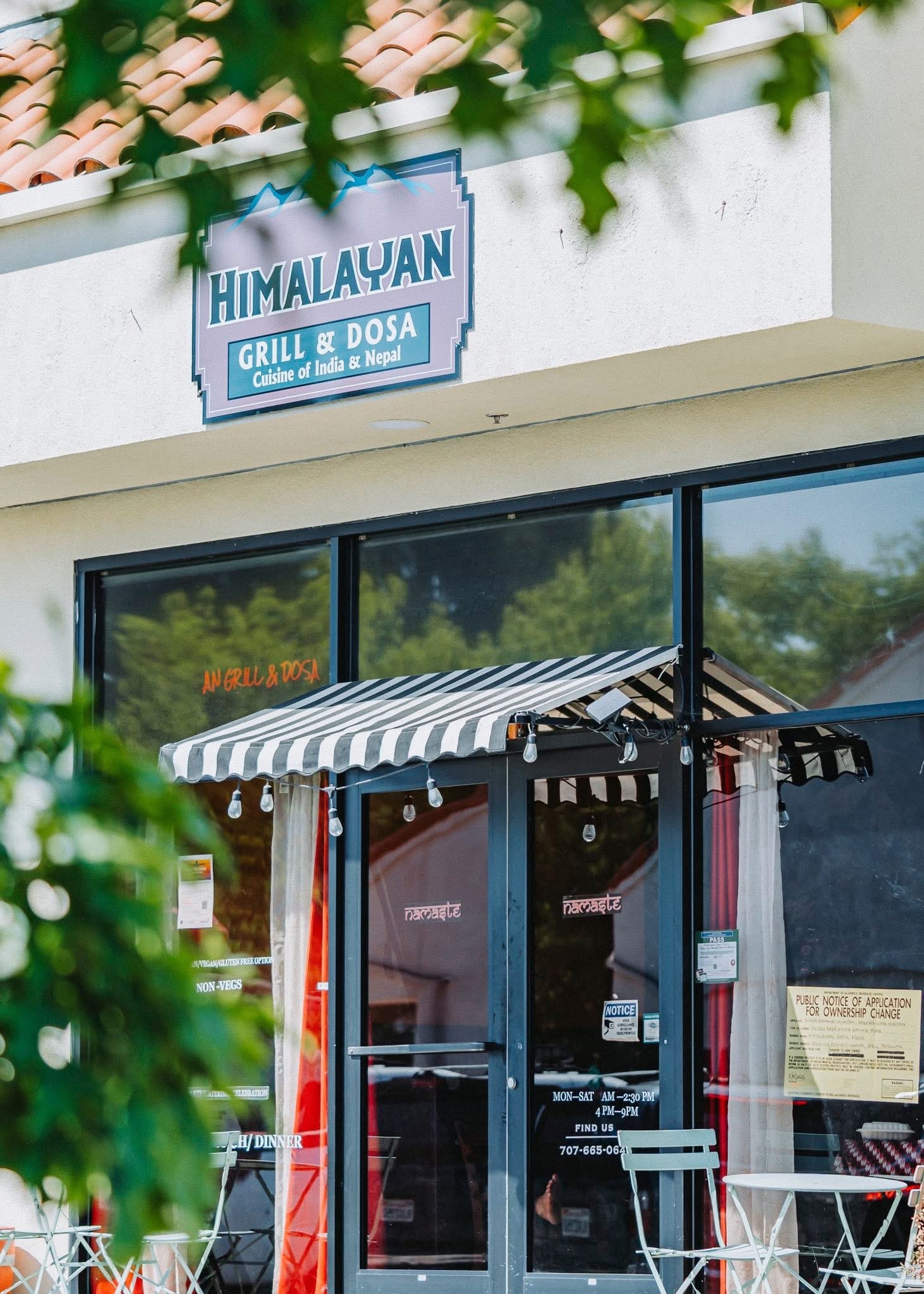 Himalayan Petaluma